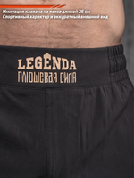 Шорты спортивные тренировочные LEGENDA Плюшевая сила