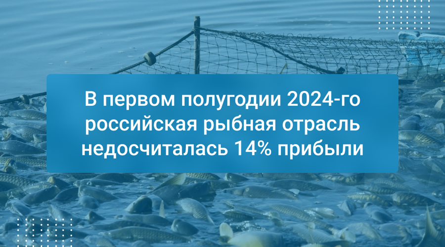 В первом полугодии 2024-го российская рыбная отрасль недосчиталась 14% прибыли