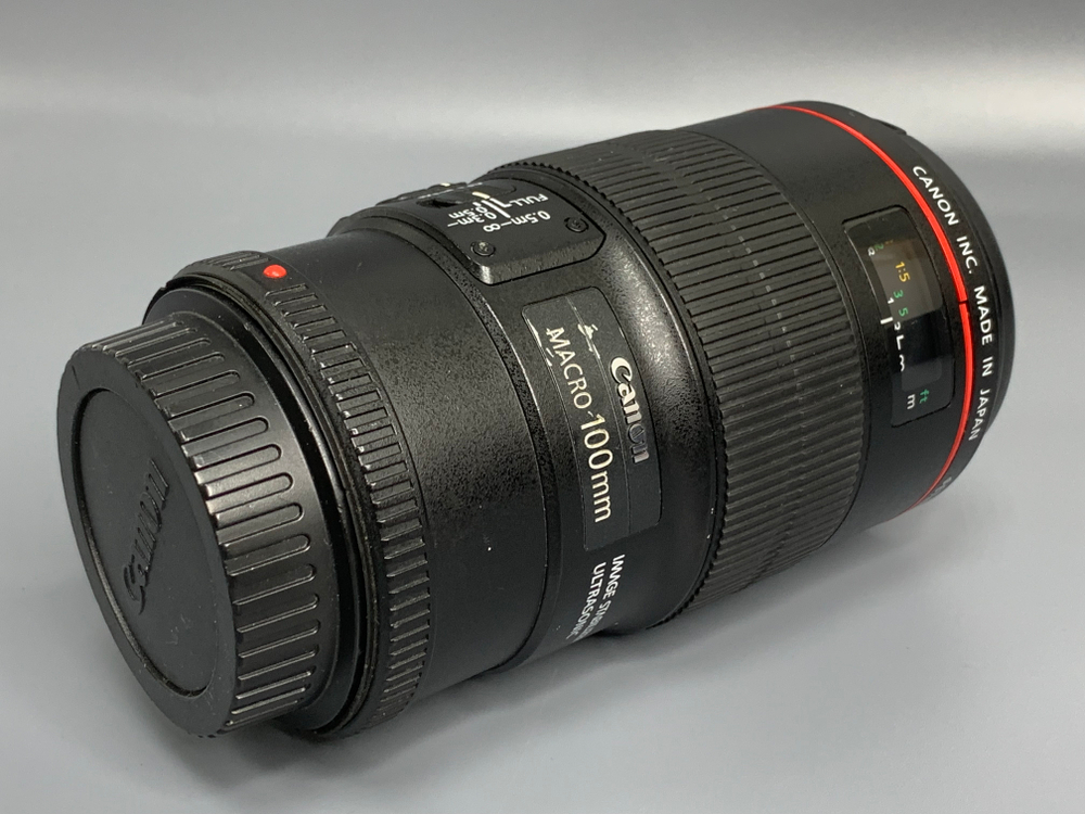 Canon EF 100mm 2.8L Macro IS USM