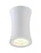 Точечный светильник CLT 031 CLT 031C WH Crystal Lux