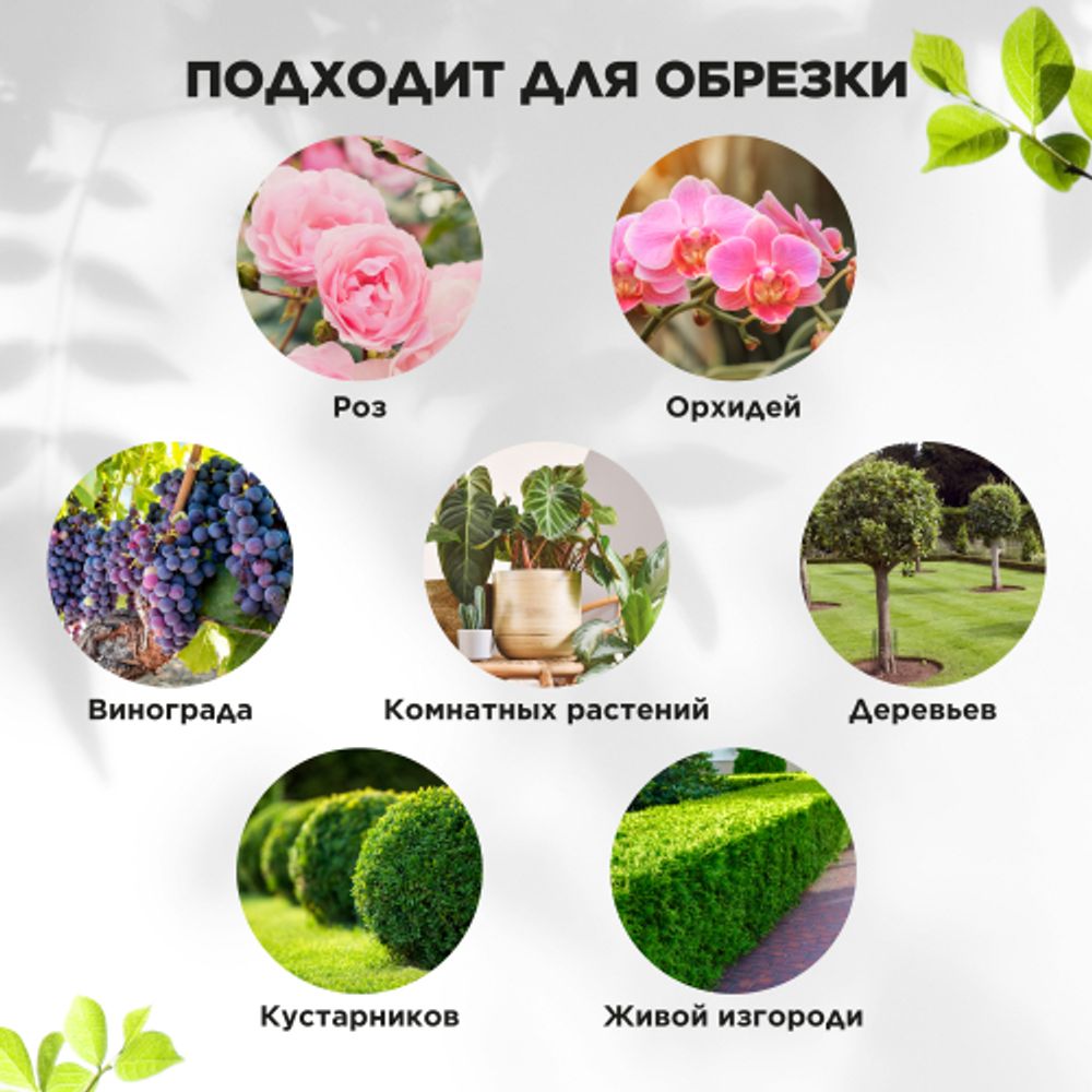 GAECO01-72 GREEN APPLE Дача Cекатор контактный c храповым механизмом | GREEN APPLE