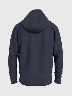 Худи мужское TOMMY JEANS REG ENTRY GRAPHIC HOODIE