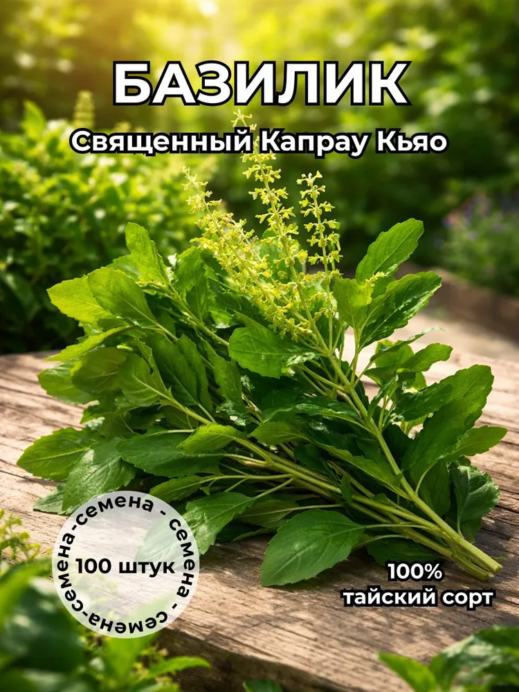 Базилик священный тайский Капрау Кьяо семена 100 штук