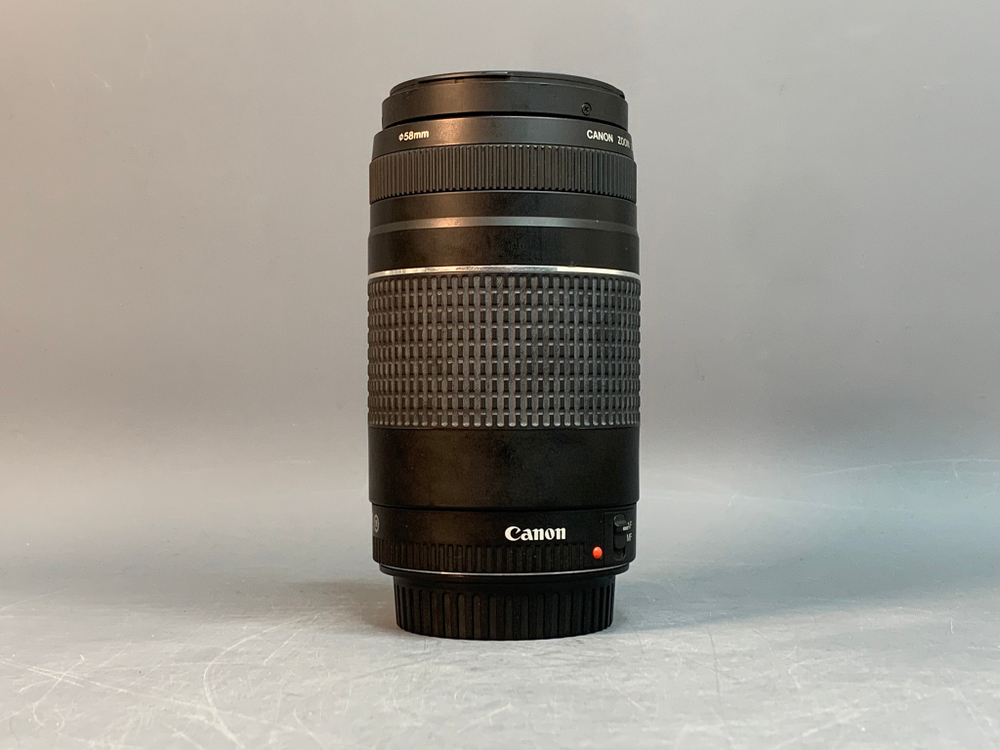 Canon EF 75-300mm 4-5.6 III