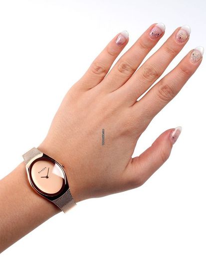 Женские часы Skagen SKW2299