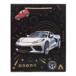 Пакет подарочный "Supercars"26*32*10см, тисн.золот, ручки-шнурок,4 диз.микс