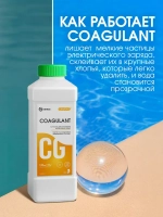 GraSS Средство для осветления воды в бассейнах CRYSPOOL 1л