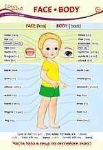 Плакат А3 Face. Body (Лицо. Тело)