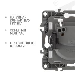 Розетка ЭРА Серия 12 12-2105-15 2P16A-250В IP20 перламутр | Эра 12