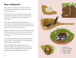 Ladybird Book: Animal Habitats 