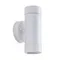 Архитектурная подсветка Atlas A3503AL-2WH Arte Lamp