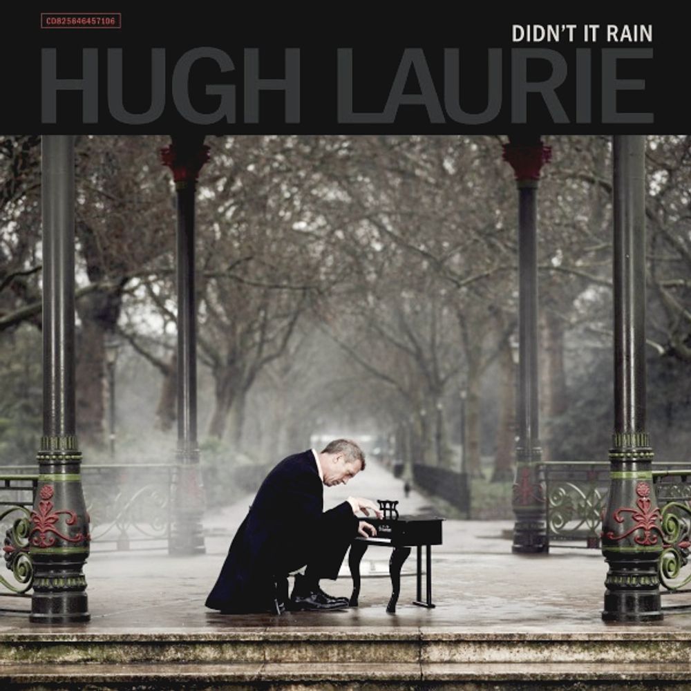 Hugh Laurie / Didn't It Rain (RU)(CD)
