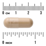 Swanson Vitamins, Full Spectrum®, корень имбиря, 540 мг, 100 капсул