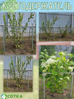 Кустодержатель для смородины, крыжовника и цветов 60*60*75