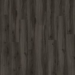 Moduleo Next Acoustic Tradition Oak 890