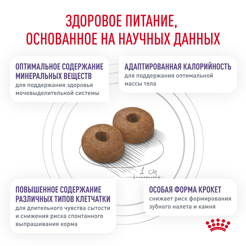 Royal Canin Neutered Adult Small Dogs Ньютрид Эдалт Смол Догз Корм сухой для взрослых стерилизованных кастрированных собак мелких пород 3,5кг
