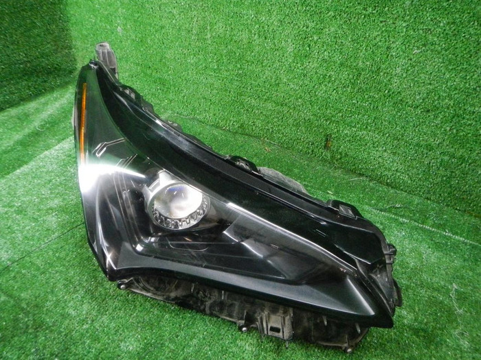 DSCN1688.JPG