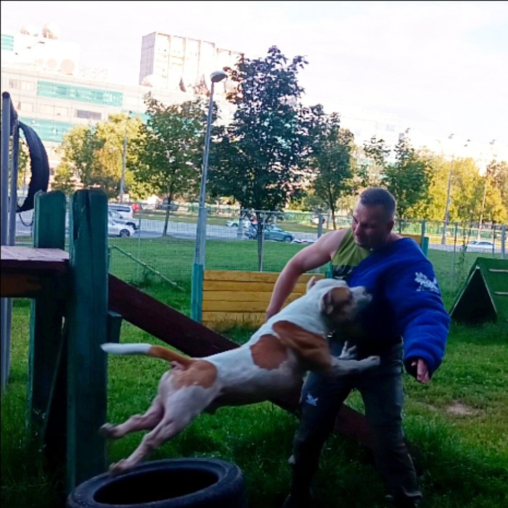 Рукав постановочный K9 INDUSTRIES