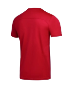 Футболка тренировочная DIVISION Training Tee, красный