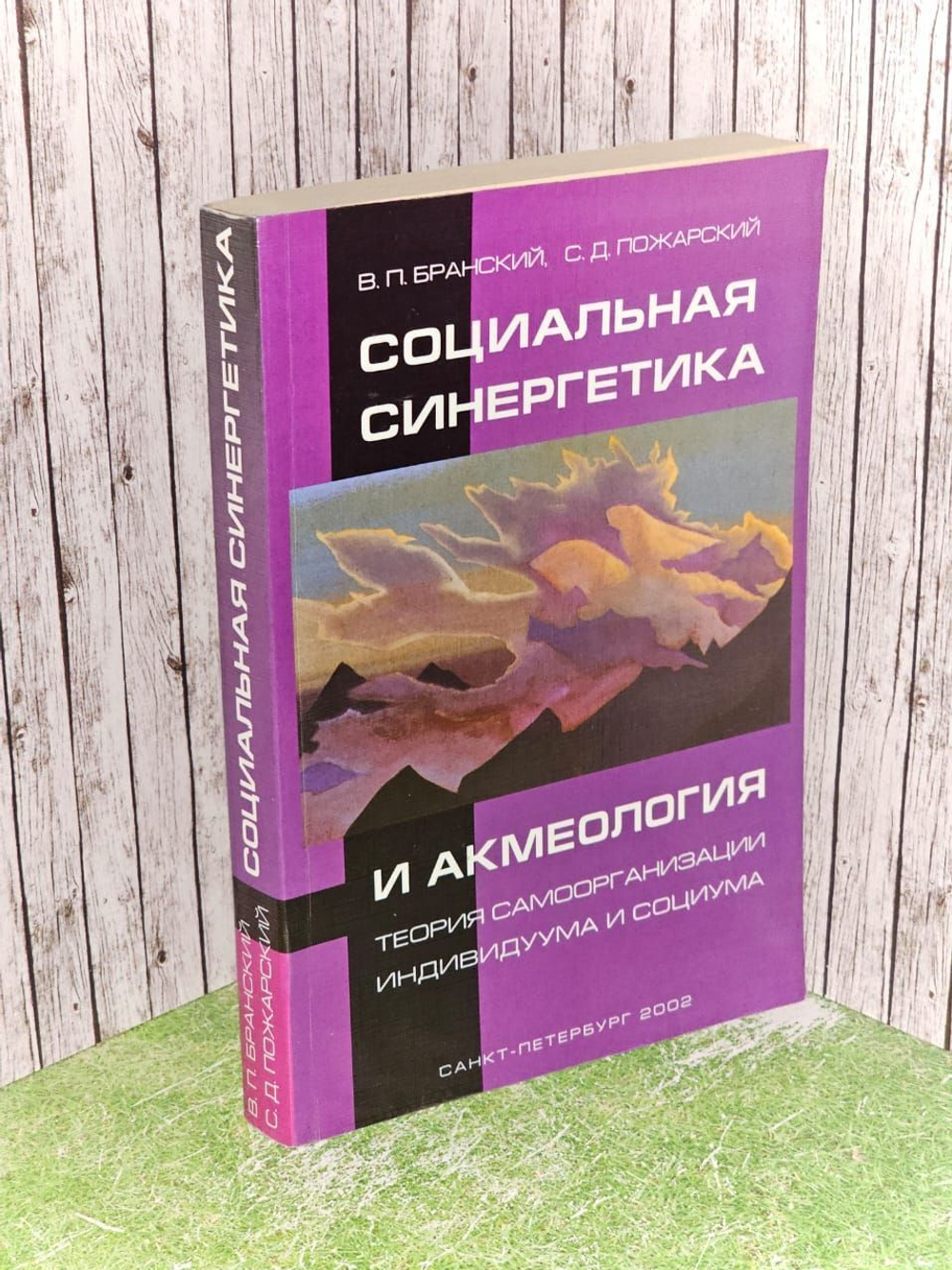 Социальная синергетика и акмеология. Бранский Владимир Павлович, Пожарский Святослав Дмитриевич