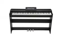 Pierre Cesar DP-12-H