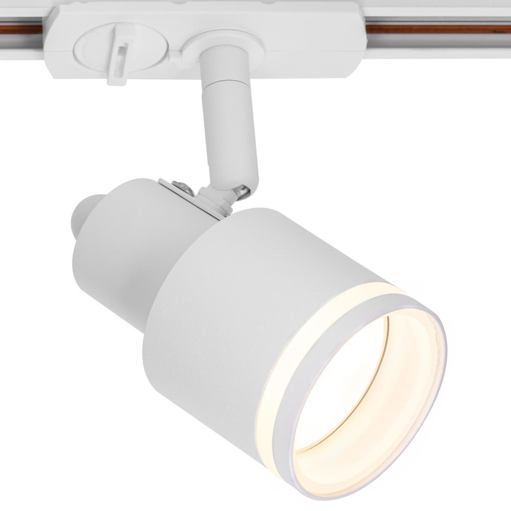 Однофазный трековый светильник Citilux Bruno CL565T10