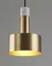 Подвесной светильник Goldy V11318-1P Moderli