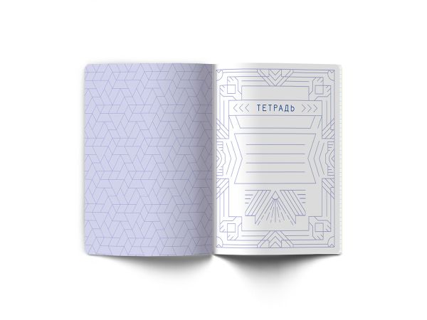 Тетрадь со справочным материалом Линия успеха, софт тач ламинация + тиснение фольгой, A5+ 48 л. на скобе 65 г/м², белизна 100%, 10 шт, клетка, 000581 Обществознание, Светоч 48ТПСК5_126_2_1