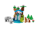 Конструктор LEGO Duplo 10446 Семейства диких животных 3в1