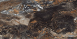 Neodom Luxury Lawa Nero Carving 60x120