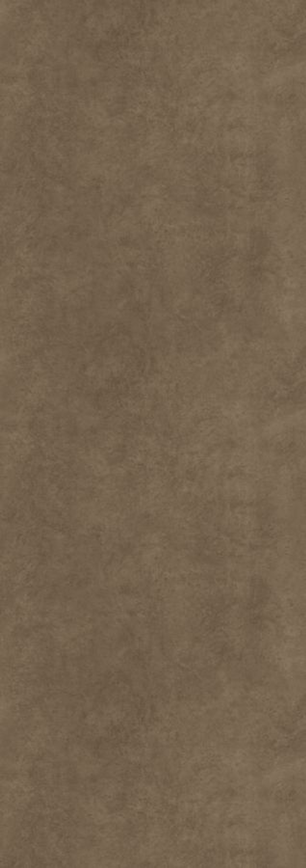 FOKOS TERRA 100X300X3.5