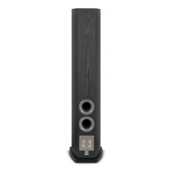 Напольная акустика Premiera DS-631M Black