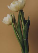 Кольцо Лав ин биколор / Love in
