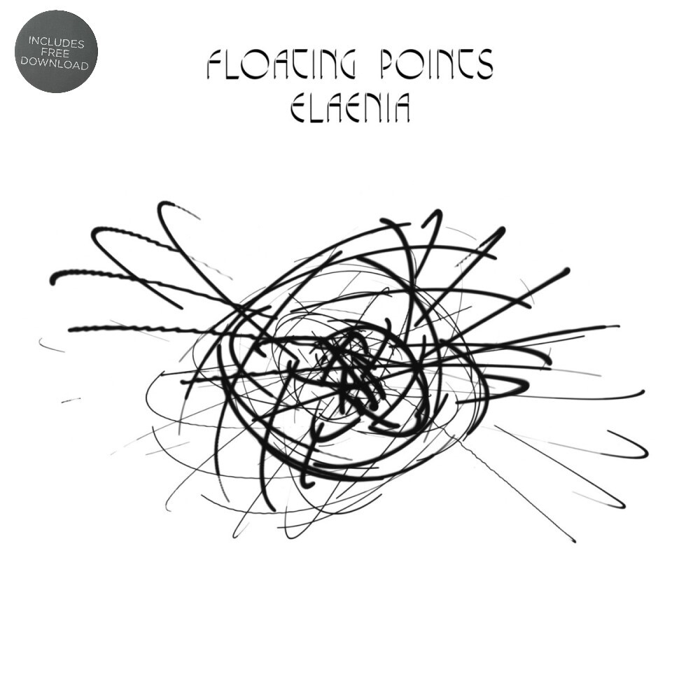 Floating Points Elaenia