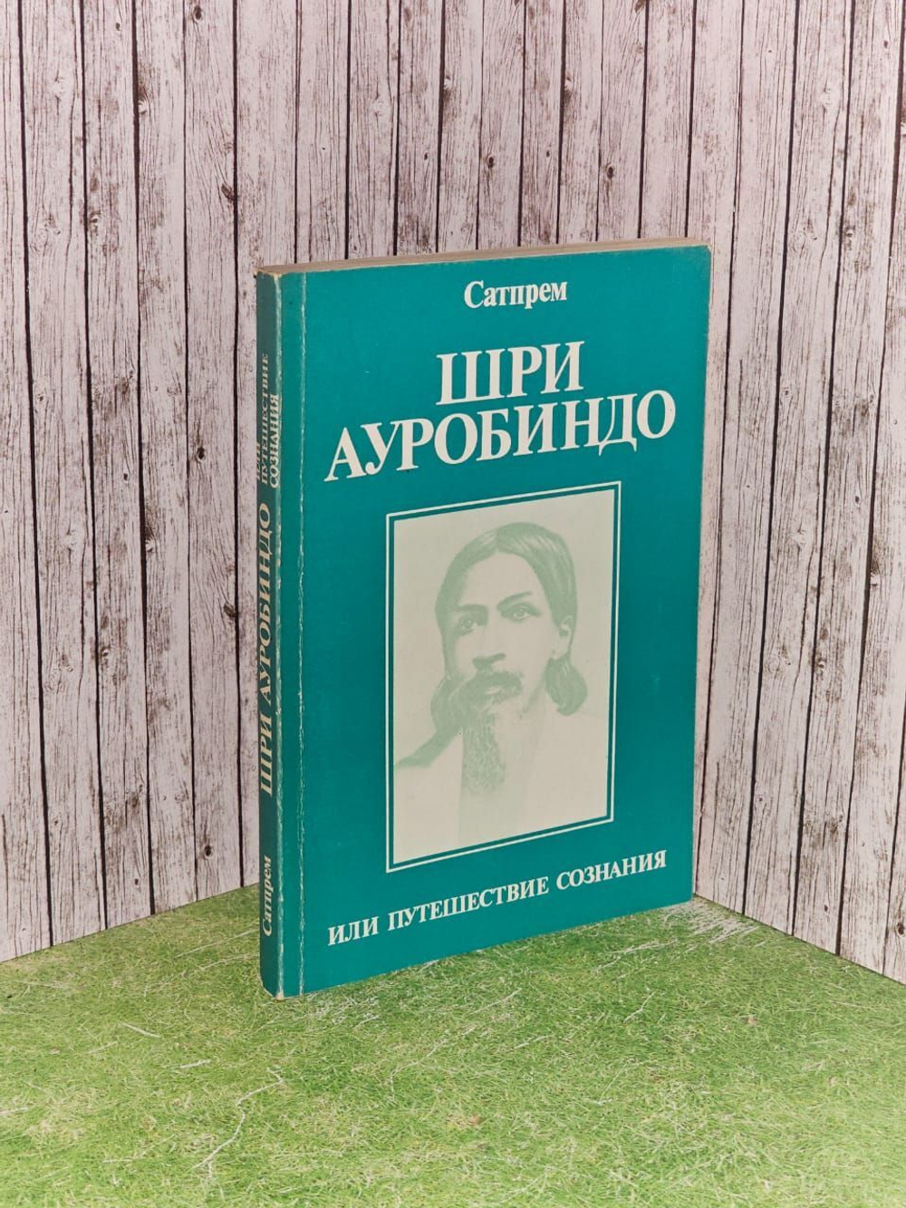 Шри Ауробиндо, или Путешествие сознания