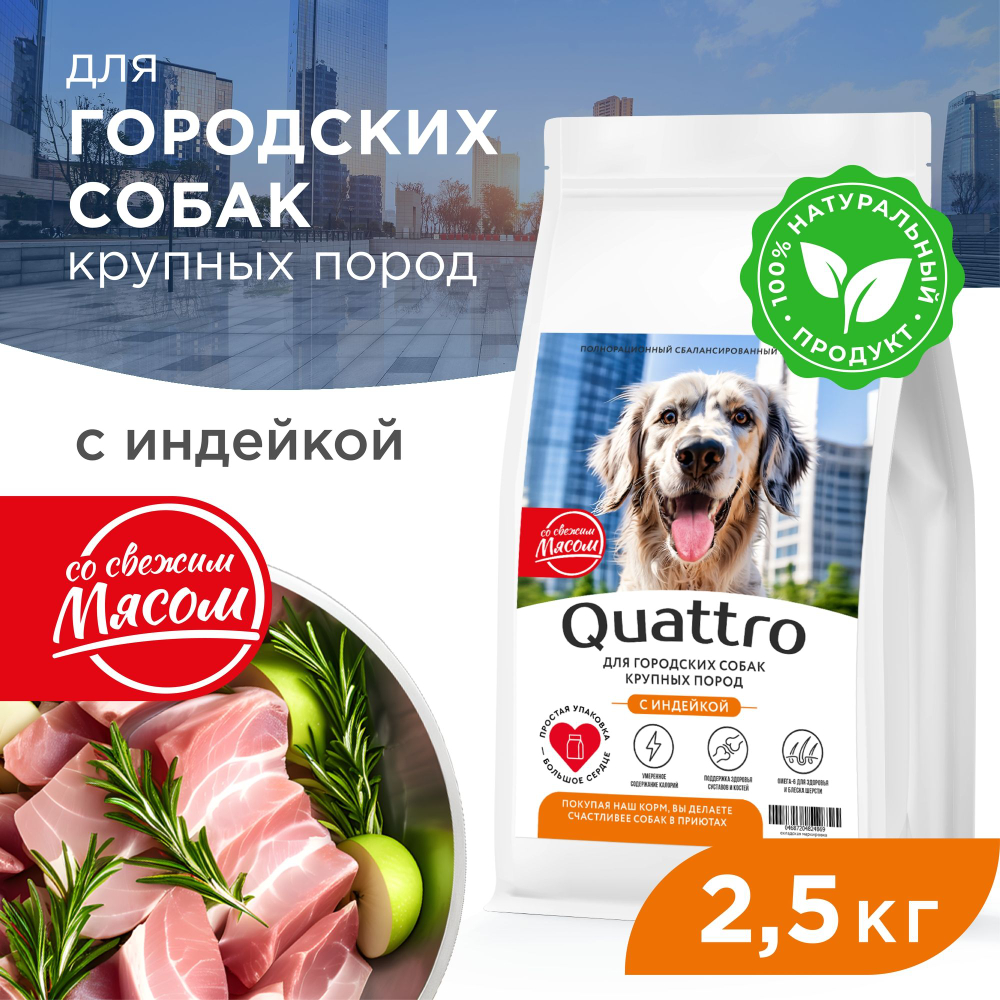Корм сухой для взрослых собак крупных пород, премиум полнорационный комплекс, для городских собак, с индейкой, 2,5 кг, QUATTRO