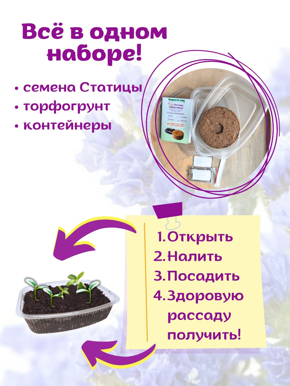 Статица Белая и Розовая, Лимониум, набор семян + торфяной грунт в подарок, 20 шт