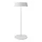 Уличная настольная лампа Porto O540TL-L2WCCT Maytoni