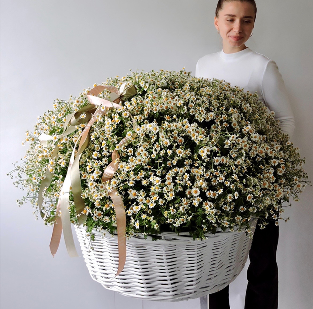 Корзина XXL ромашек Первый поцелуй
