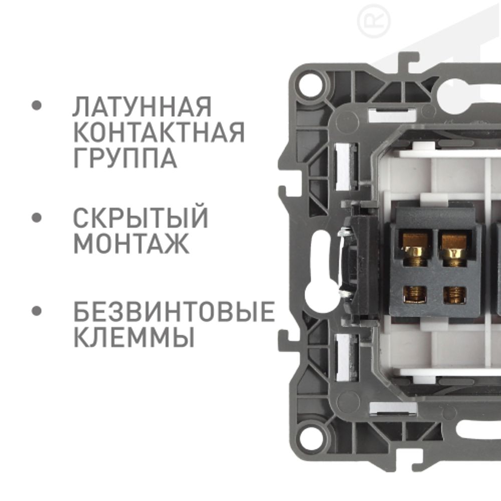 Розетка ЭРА Серия 12 12-3112-12 аудио двойная IP20 графит | Эра 12