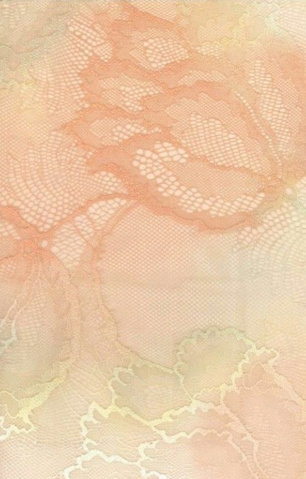 Бюстгальтер-бралетт Loretto из двухцветного кружева (Размер: 65D) (Цвет: персиковый)