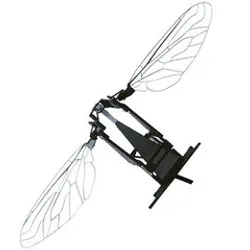 Фотография — Робот RoboBee