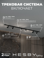 Комплект трековый Hesby Lighting Skylite No3 HSBL_kompl_S003_NI2B4K