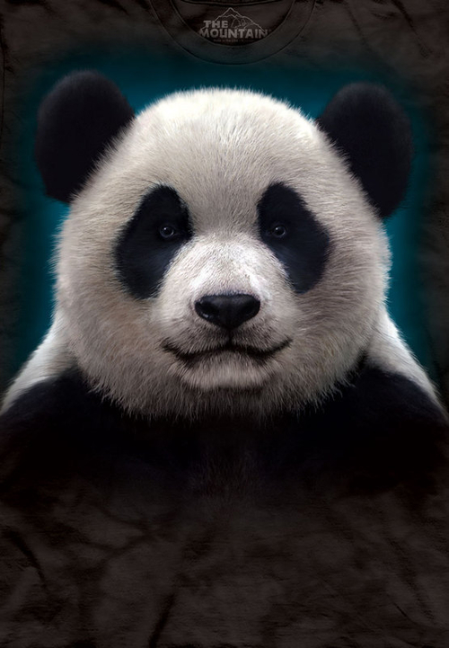 Футболка детская Mountain с изображением панды - Panda Head