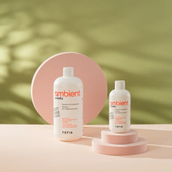 Шампунь для окрашенных волос Colorfix Ambient Tefia, 250 мл