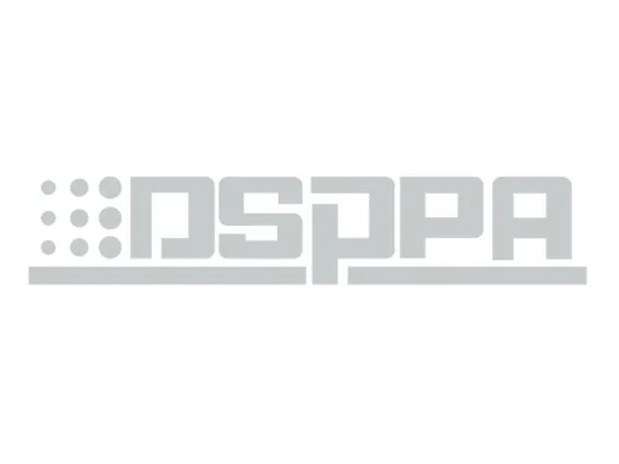DSPPA переходник сетевой с китайской вилки на евровилку, с заземлением
