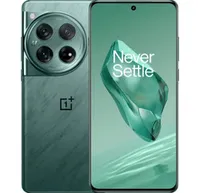 OnePlus 12 12/256 ГБ, Зелёный