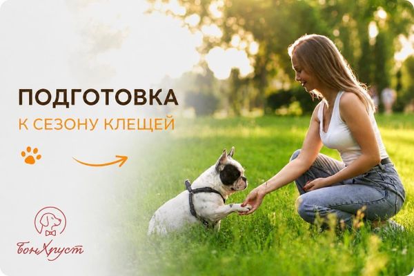 ТЕПЛЫЙ СЕЗОН: ГУЛЯЕМ БЕЗОПАСНО! ☀️ 🦮 ТЕПЛЫЙ СЕЗОН: ГУЛЯЕМ БЕЗОПАСНО! ☀️ 🦮