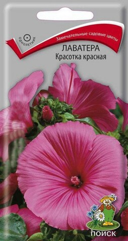 Лаватера Красотка красная 0,3гр Поиск