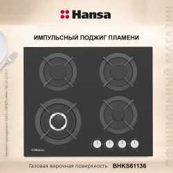 Варочная панель газовая Hansa BHKS61136